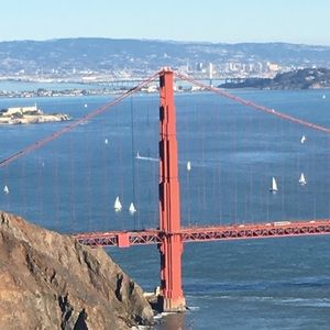 Meet your Posher, Cynthia